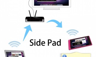 side-pad1