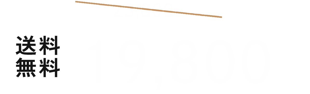 送料無料19,800円税込