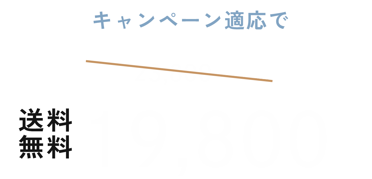 キャンペーン適応で送料無料19,800円税込